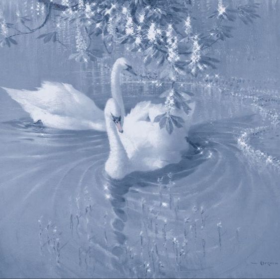 sparkly water