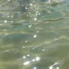 sparkly water