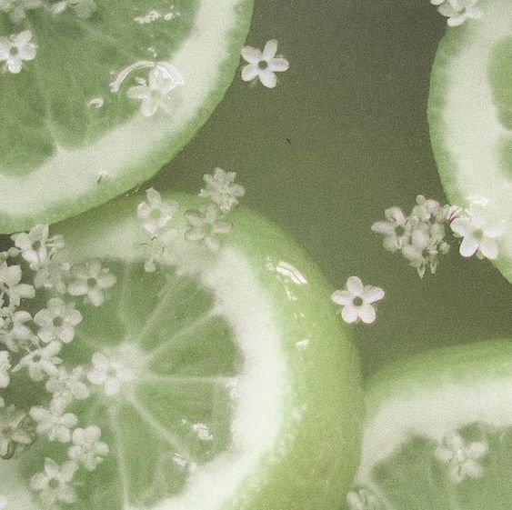 pretty flowers
